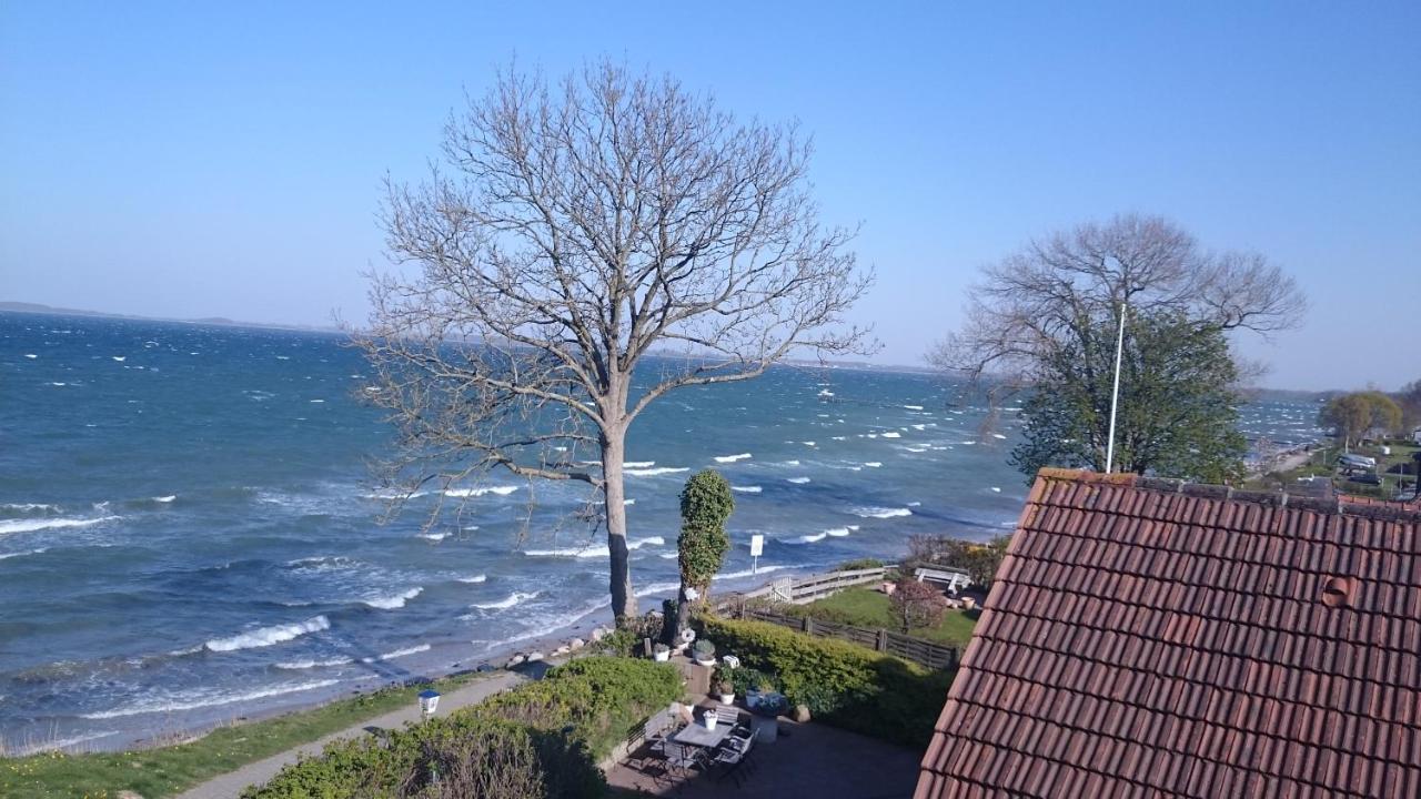 Strandappartements Steinberghaff "Kegnaes" Mit Meerblick Und Sauna Steinberg  Exterior foto